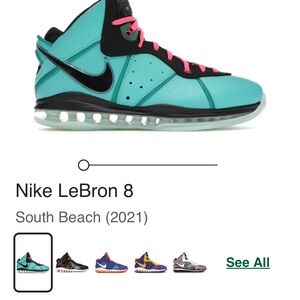 Nike LeBron 8 Teal and Black Sneakers